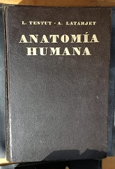 Coberta de Tratado de anatomia humana (Tom III)